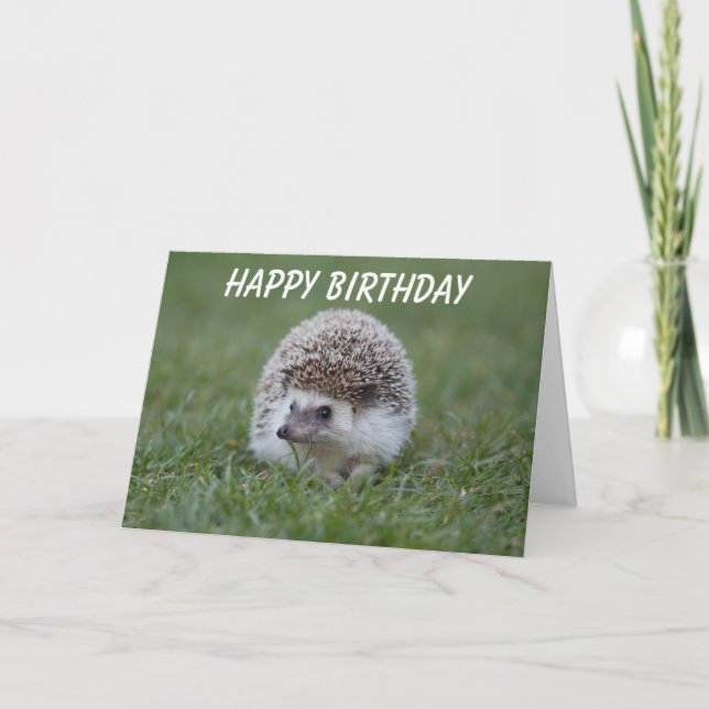 hedgehog birthday card (Front)