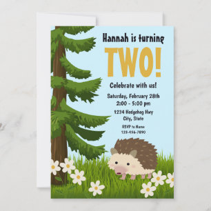 Hedgehog Birthday Invitation