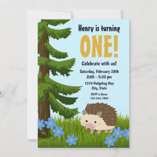 Hedgehog Birthday Invitation