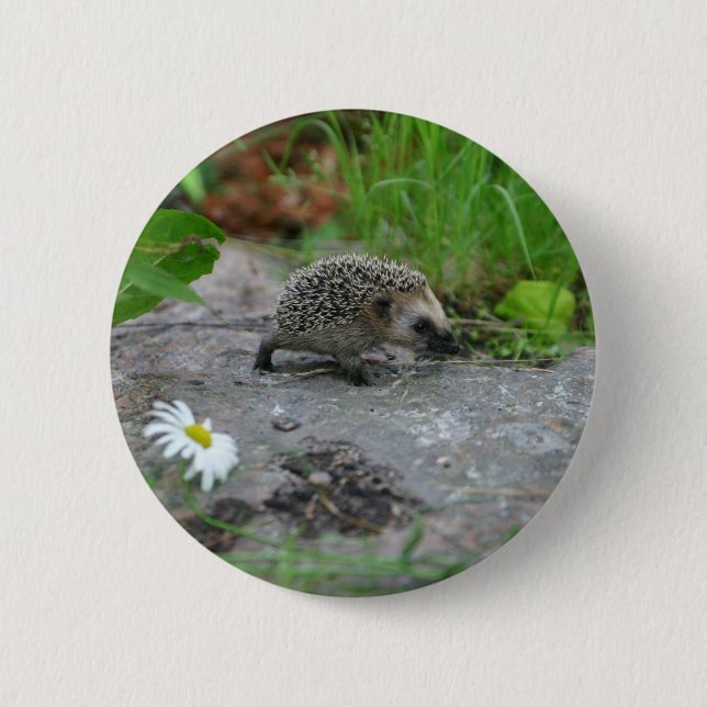 Hedgehog button - customizable (Front)
