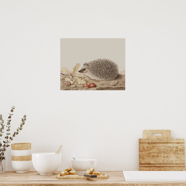 Hedgehog by Giovanna Garzoni Poster (Kitchen)