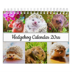 Hedgehog Calendar