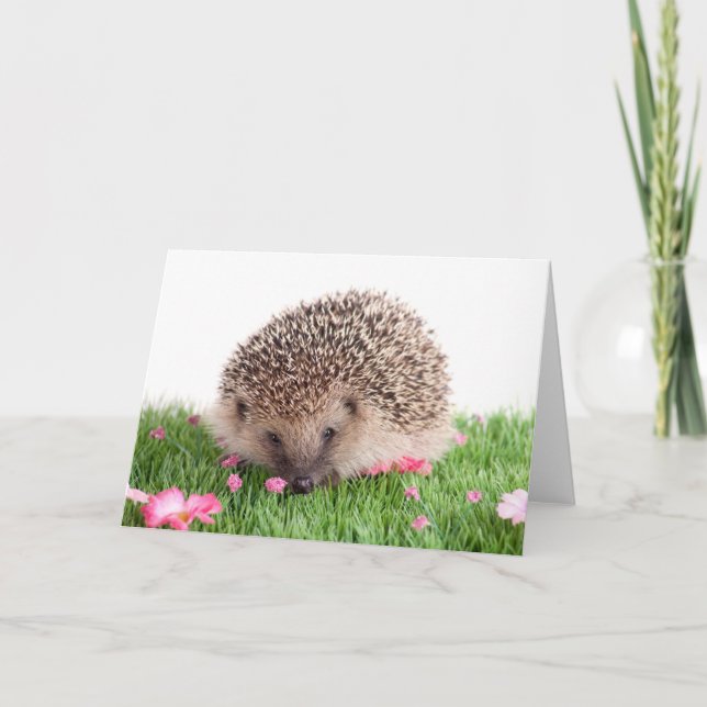 hedgehog card (Front)