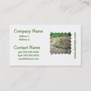Hedgehog Care Business Cards