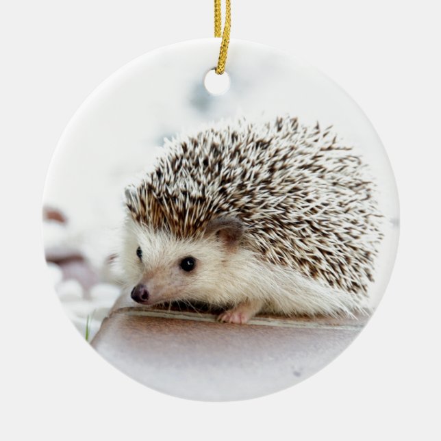 Hedgehog Ceramic Tree Decoration (Front)