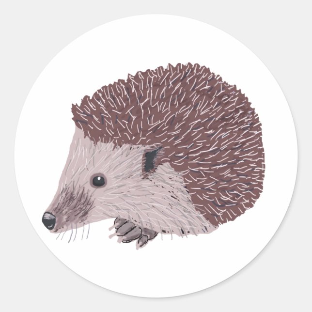 Hedgehog Classic Round Sticker (Front)