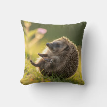  Hedgehog cushion