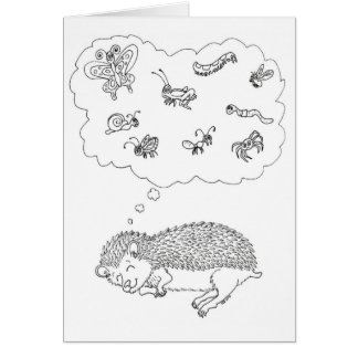 Hedgehog Dreams