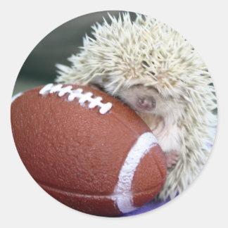 Hedgehog Football Classic Round Sticker
