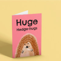 Hedgehog Get Well