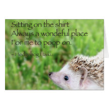 Hedgehog Haiku