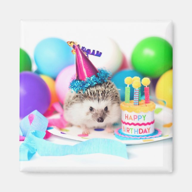 Hedgehog Happy Birthday! Magnet (Front)