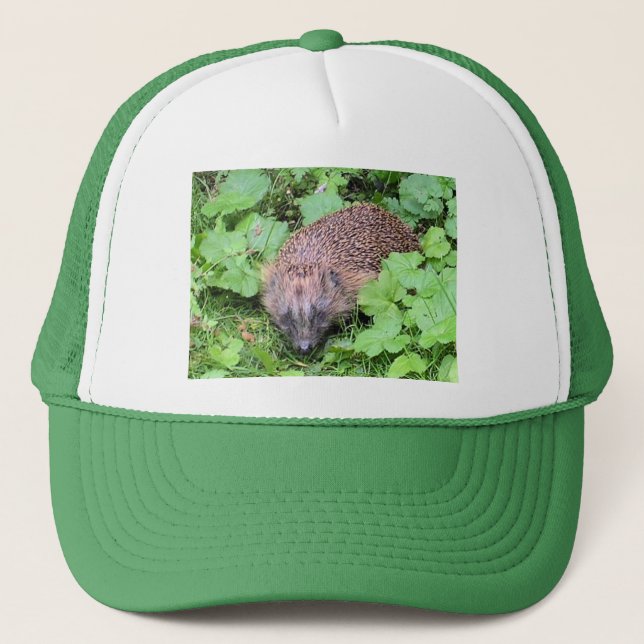 Hedgehog Hat (Front)