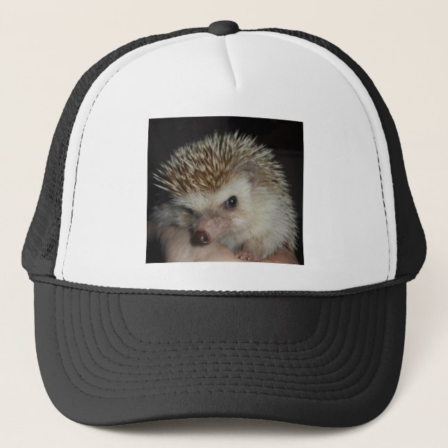 Hedgehog Hat (Front)