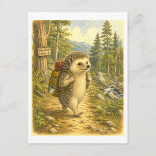 Hedgehog Hiking Illustration Postcard