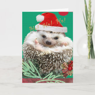 Hedgehog HO!HO!HO! Holiday Card