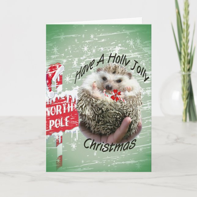 Hedgehog holly jolly xmas holiday card (Front)