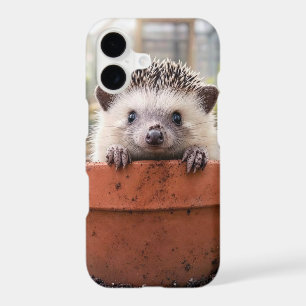 Hedgehog in a Clay Flower Pot
