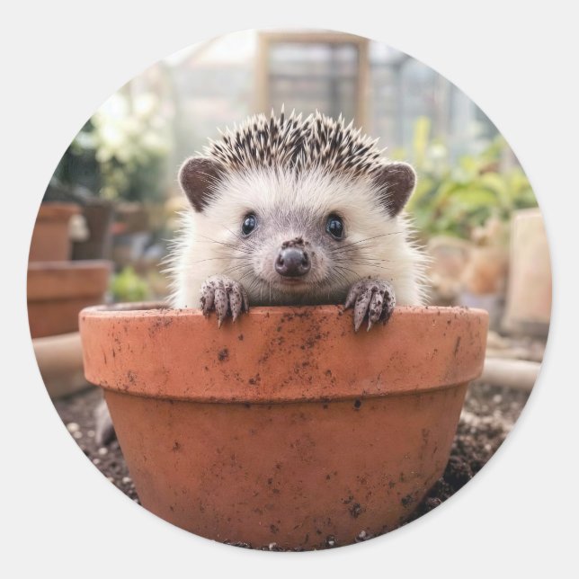 Hedgehog in a Clay Flower Pot Classic Round Sticker (Front)