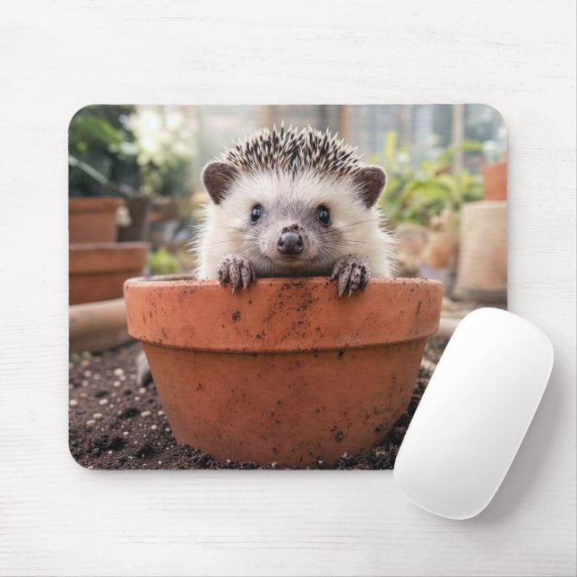 Hedgehog in a Clay Flower Pot Mouse Mat (With Mouse)