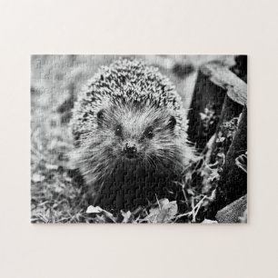 Hedgehog in black and white, Jigsaw Puzzle