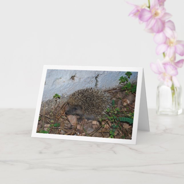 Hedgehog in Garden Portrait Card (Orchid)
