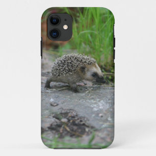 Hedgehog iPhone CaseMate 11 Case