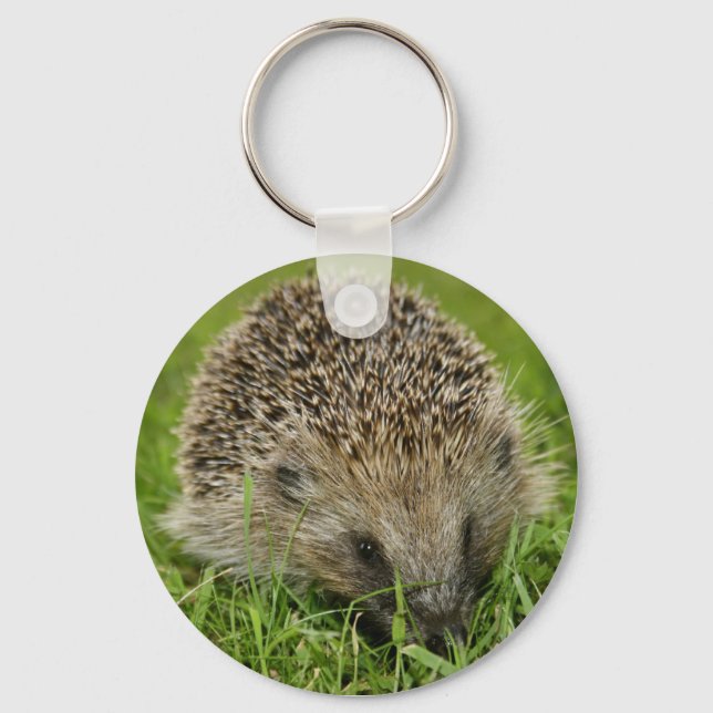 Hedgehog Key Chain (Front)