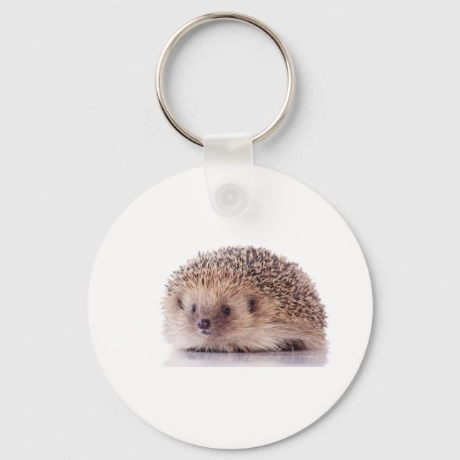 Hedgehog, Key Ring (Front)