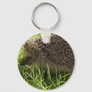 Hedgehog Keychain