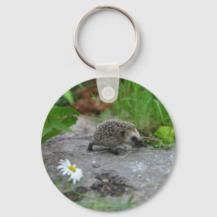 Hedgehog keychain