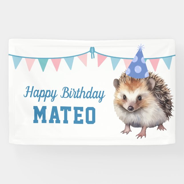 Hedgehog kids blue birthday party  banner (Horizontal)