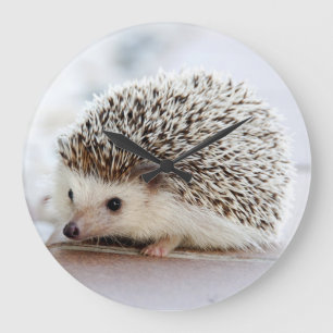 hedgehog large clock