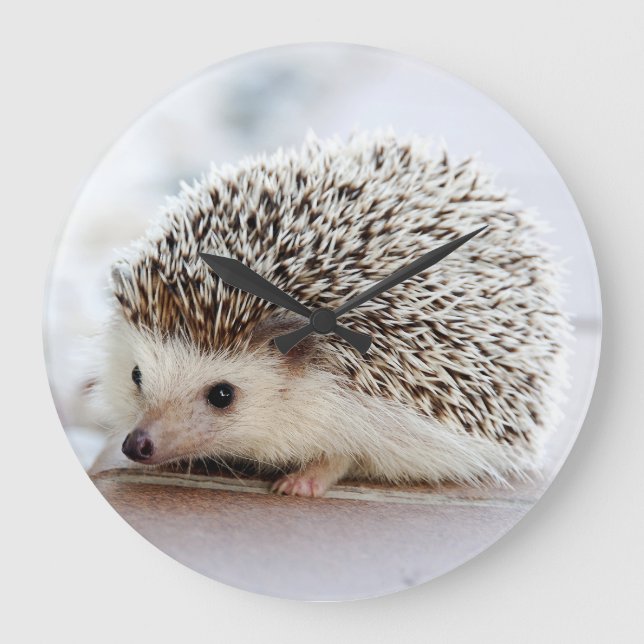 hedgehog large clock (Front)