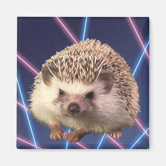 Hedgehog Laser Background Magnet