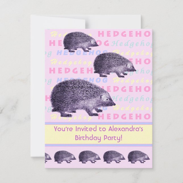 Hedgehog Little Girl's Birthday Party Invitation (Front)