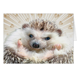 Hedgehog Love