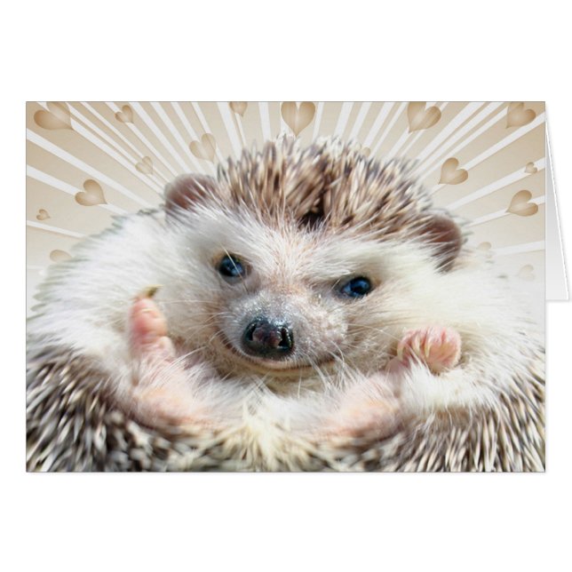 Hedgehog Love (Front Horizontal)