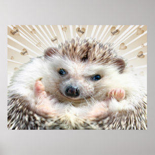 Hedgehog Love Poster