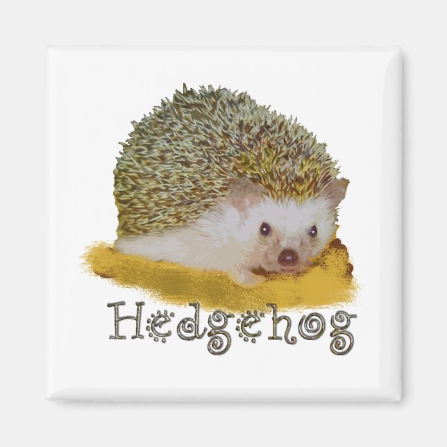Hedgehog magnet (Front)