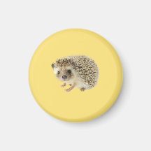Hedgehog Magnet