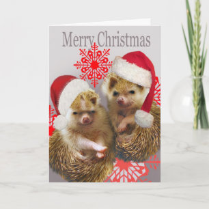 Hedgehog Merry Christmas Cards
