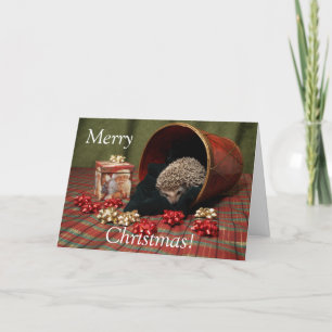Hedgehog Merry Christmas Holiday Card