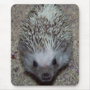 Hedgehog Mouse Mat