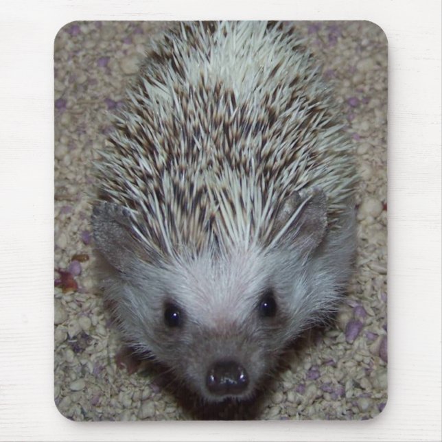 Hedgehog Mouse Mat (Front)