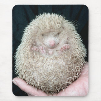 Hedgehog Mouse Mat
