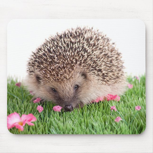 hedgehog, mouse mat (Front)