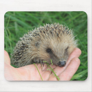 Hedgehog Mousepad