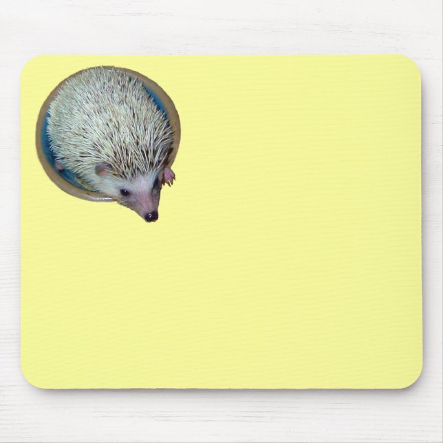 Hedgehog Mousepad (Front)