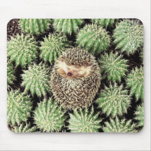 Hedgehog Mousepad